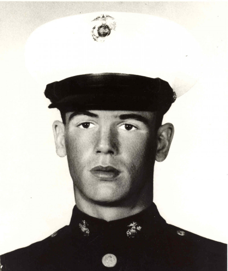 https://www.defense.gov/News/Feature-Stories/story/article/2506378/medal-of-honor-monday-marine-corps-lance-cpl-lester-weber/